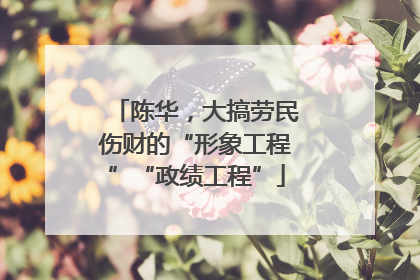 陈华，大搞劳民伤财的“形象工程”“政绩工程”